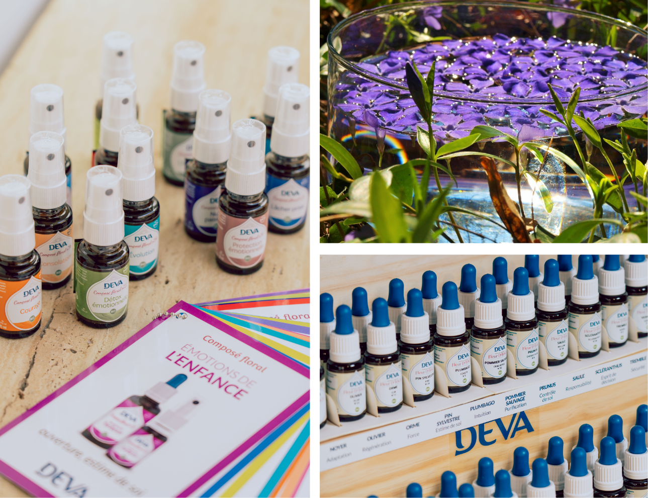 Elixirs Floritherapie Elixirs Floritherapie