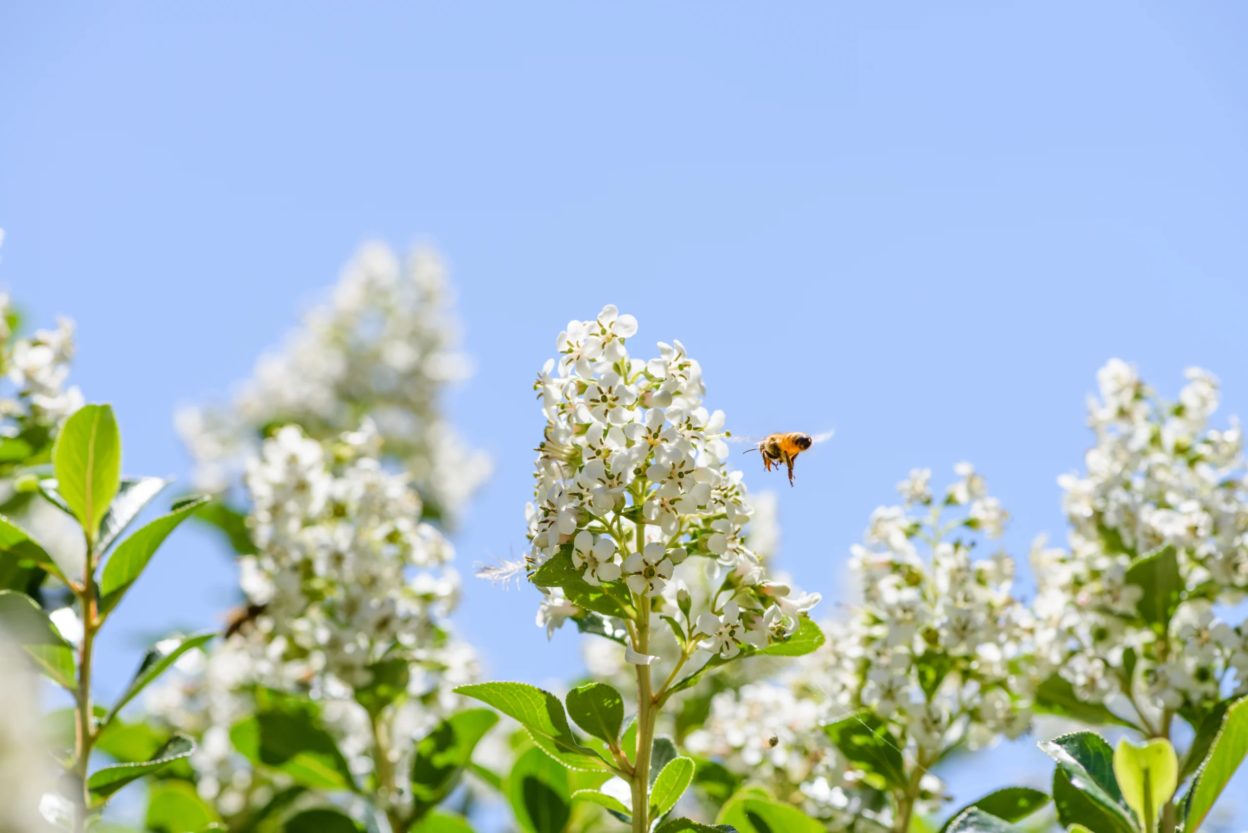 Tout savoir sur les allergies saisonnières Tout savoir sur les allergies saisonnières