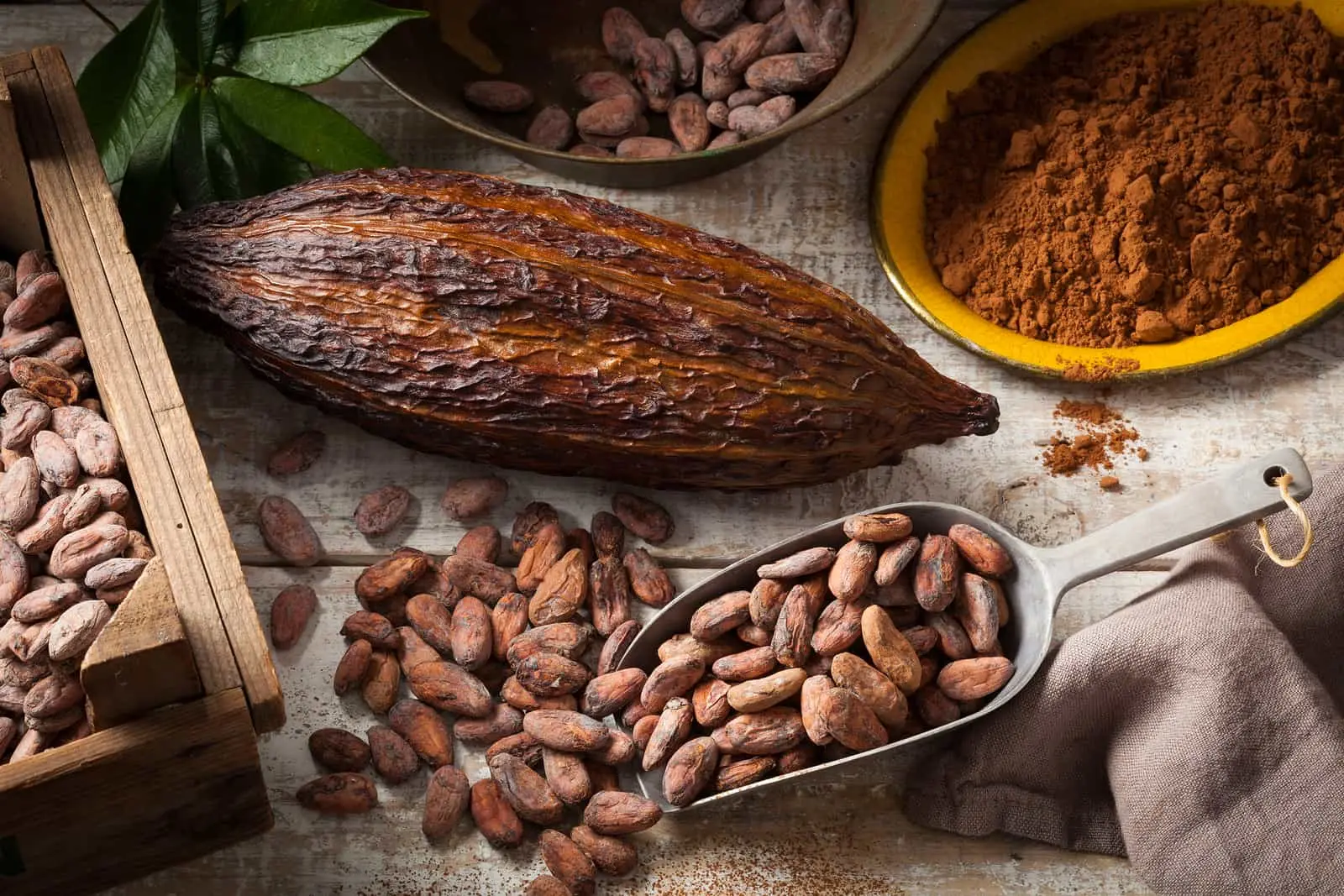 Fève de cacao Fève de cacao